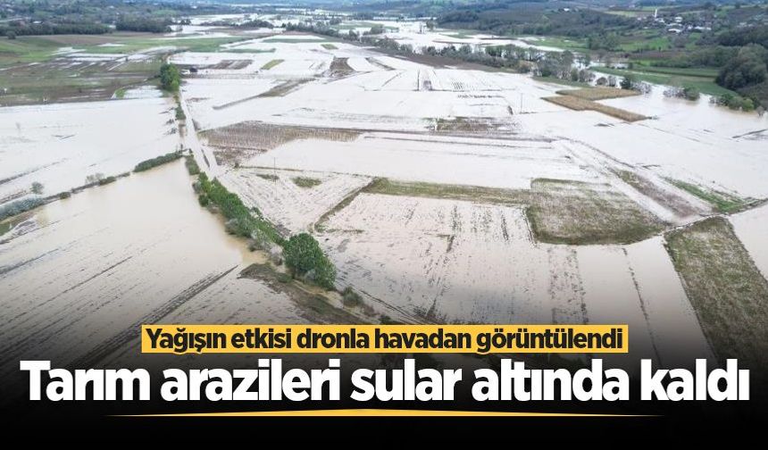 Kaynarca'da su altında kalan tarım arazileri havadan görüntülendi