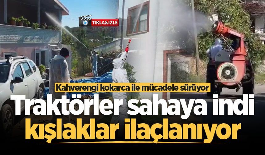 Sakarya’da kahverengi kokarca ile mücadele sürüyor: Traktörler sahaya indi, kışlaklar ilaçlanıyor
