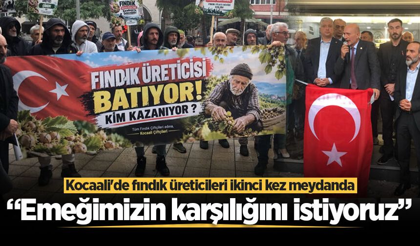 Kocaali'de fındık üreticileri ikinci kez meydanda: “Emeğimizin karşılığını istiyoruz”