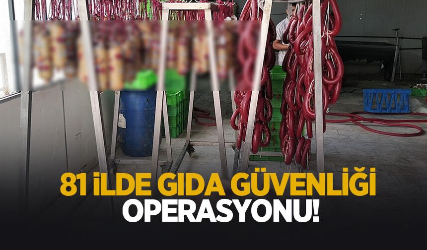 Sahte ve tağşişli gıdalara büyük darbe