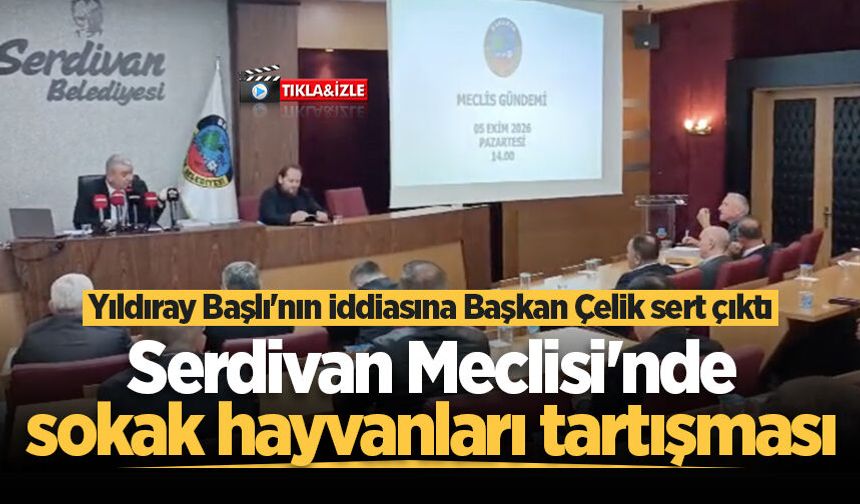 Serdivan Meclisi'nde sokak hayvanları tartışması: Yıldıray Başlı'nın iddiasına Başkan Çelik sert çıktı