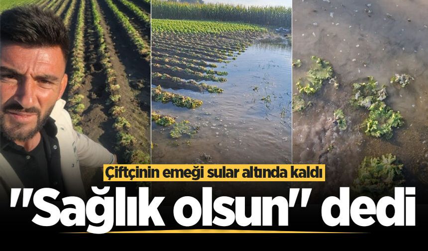 Çiftçinin emeği sular altında kaldı: "Sağlık olsun" dedi
