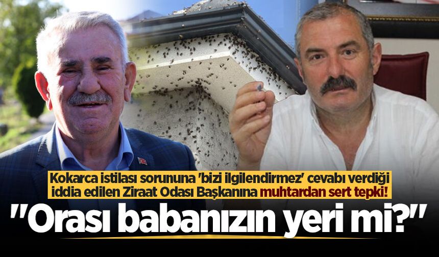 Kokarca istilası sorununa 'bizi ilgilendirmez' cevabı verdiği iddia edilen Ziraat Odası Başkanına muhtardan sert tepki!