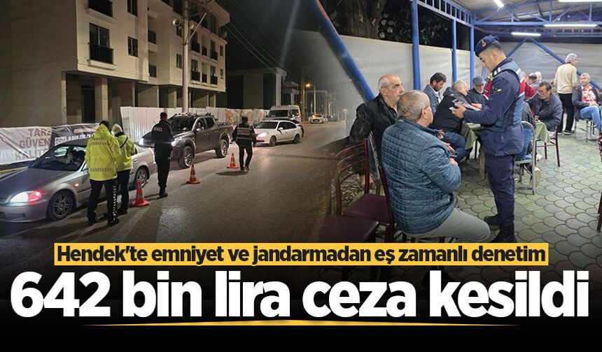 Hendek'te emniyet ve jandarmadan eş zamanlı denetim: 642 bin lira ceza kesildi