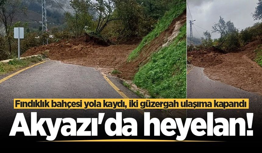 Akyazı'da heyelan! Fındıklık bahçesi yola kaydı, iki güzergah ulaşıma kapandı