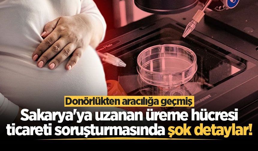 Sakarya'ya uzanan üreme hücresi ticareti soruşturmasında şok detaylar!