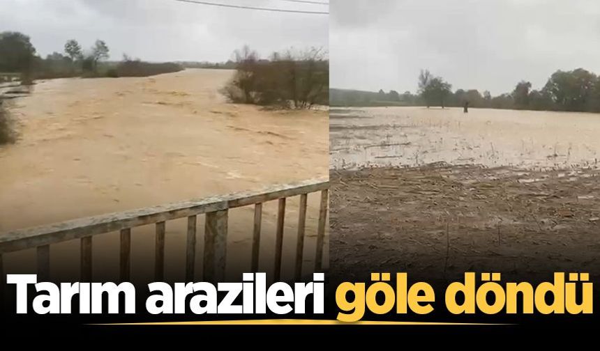 Sakarya’da sağanak alarmı! Tarım arazileri göle döndü
