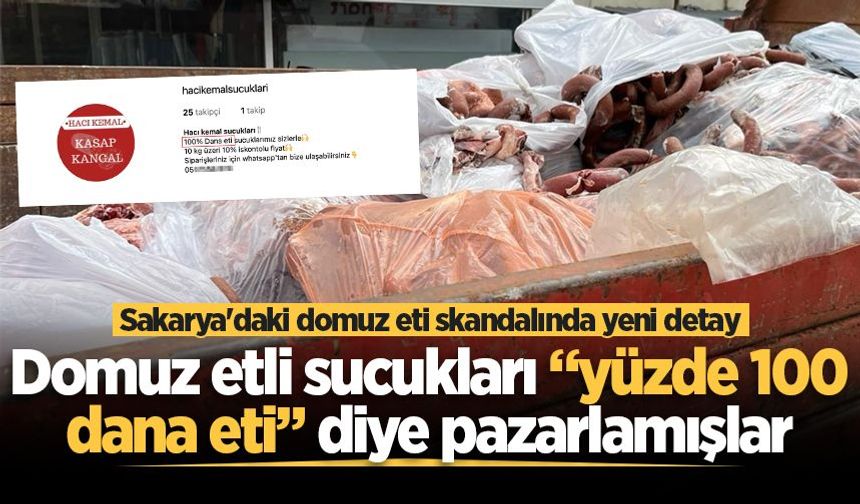 Sakarya'daki domuz eti skandalında yeni detay! Domuz etli sucukları “yüzde 100 dana eti” diye pazarlamışlar