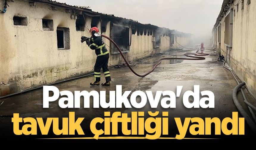 Pamukova'da tavuk çiftliği yandı