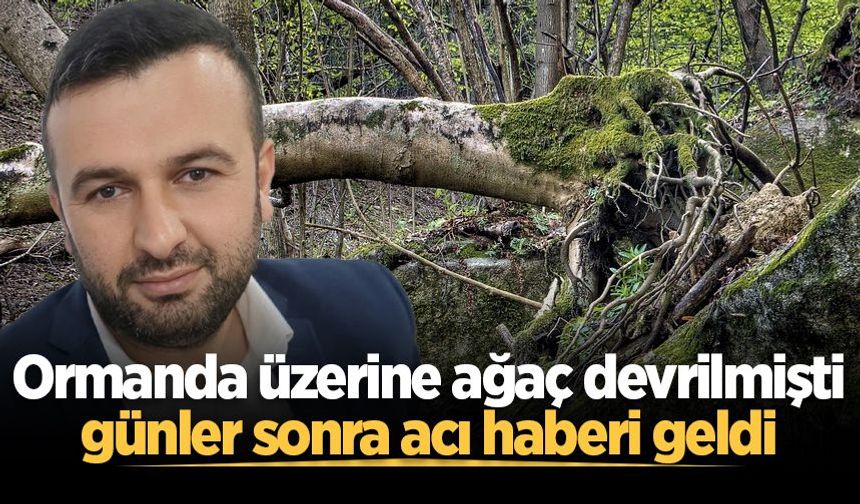 Ormanda üzerine ağaç devrilmişti, günler sonra acı haberi geldi