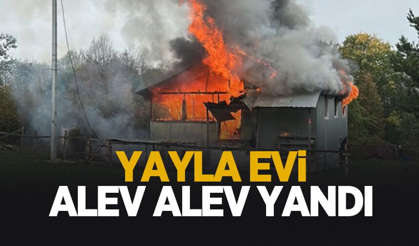 Yayla evi yandı