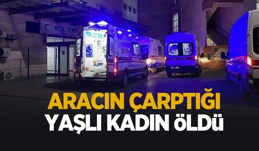 Feci kaza! Yaşlı kadın hayatını kaybetti