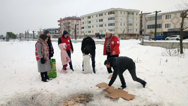 Yaban ve sokak hayvanları için kolları sıvadılar