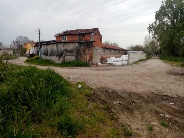 Sakarya Nehri'nde 'çevre katliamı' iddiası