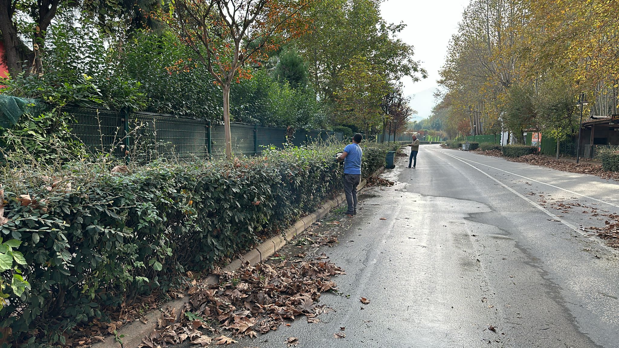 Sapanca Belediyesi’nden Ağaçlara Sonbahar Bakımı