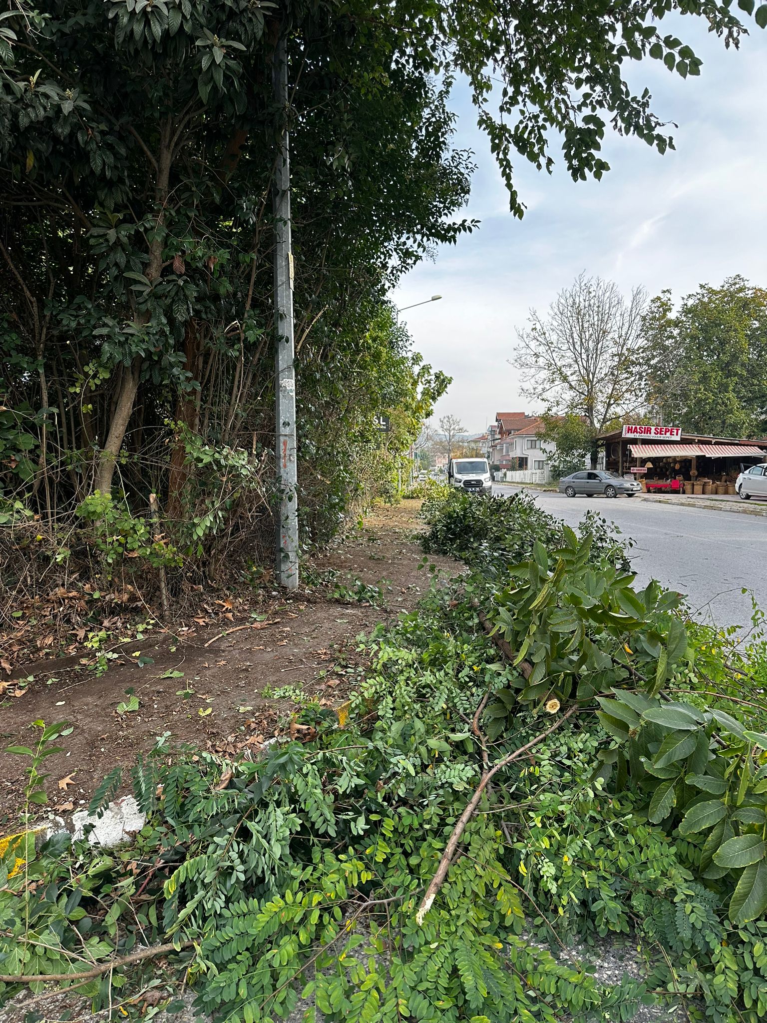 Sapanca Belediyesi’nden Ağaçlara Sonbahar Bakımı4