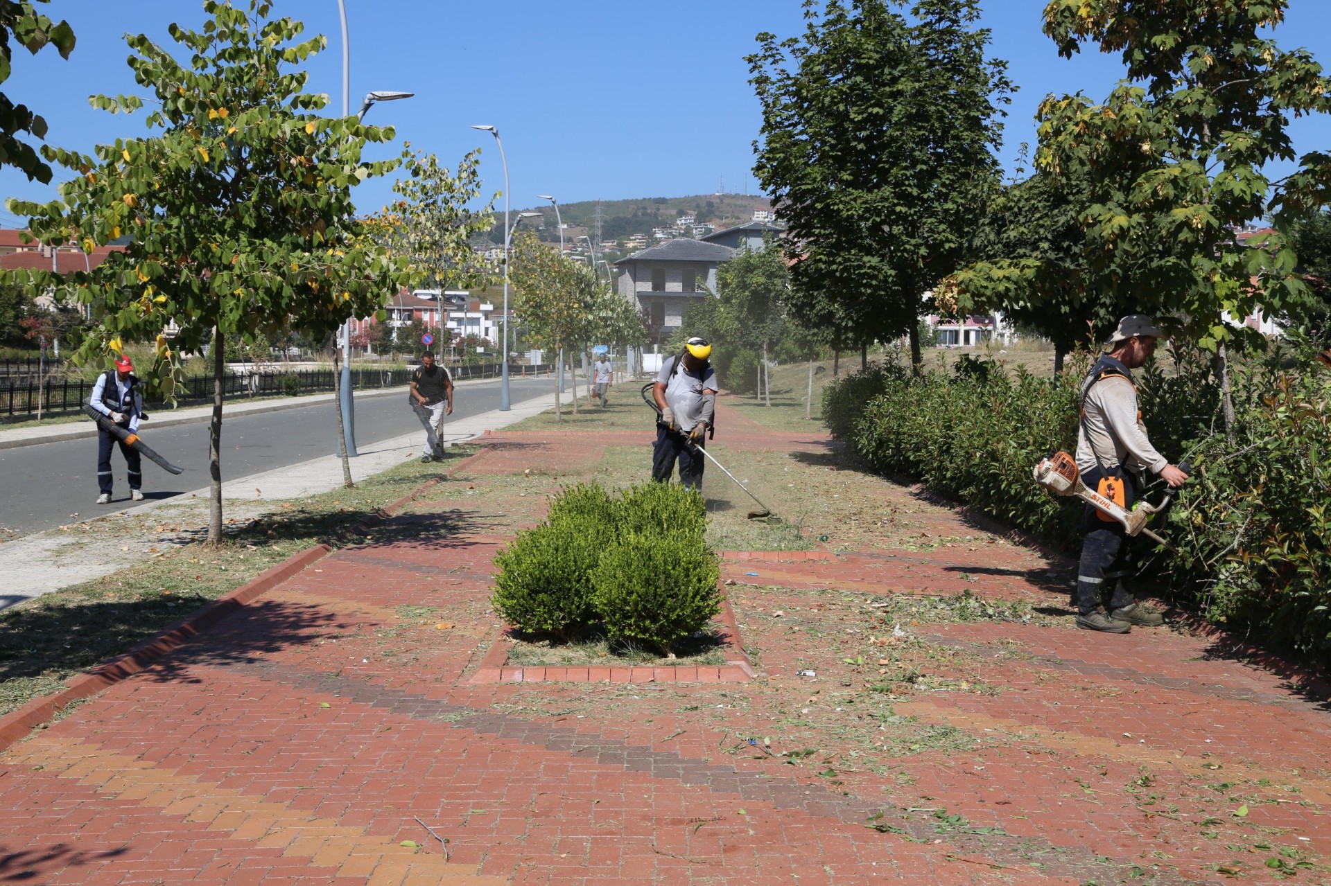 Serdivan'da Yaz Bakımı Devam Ediyor 2