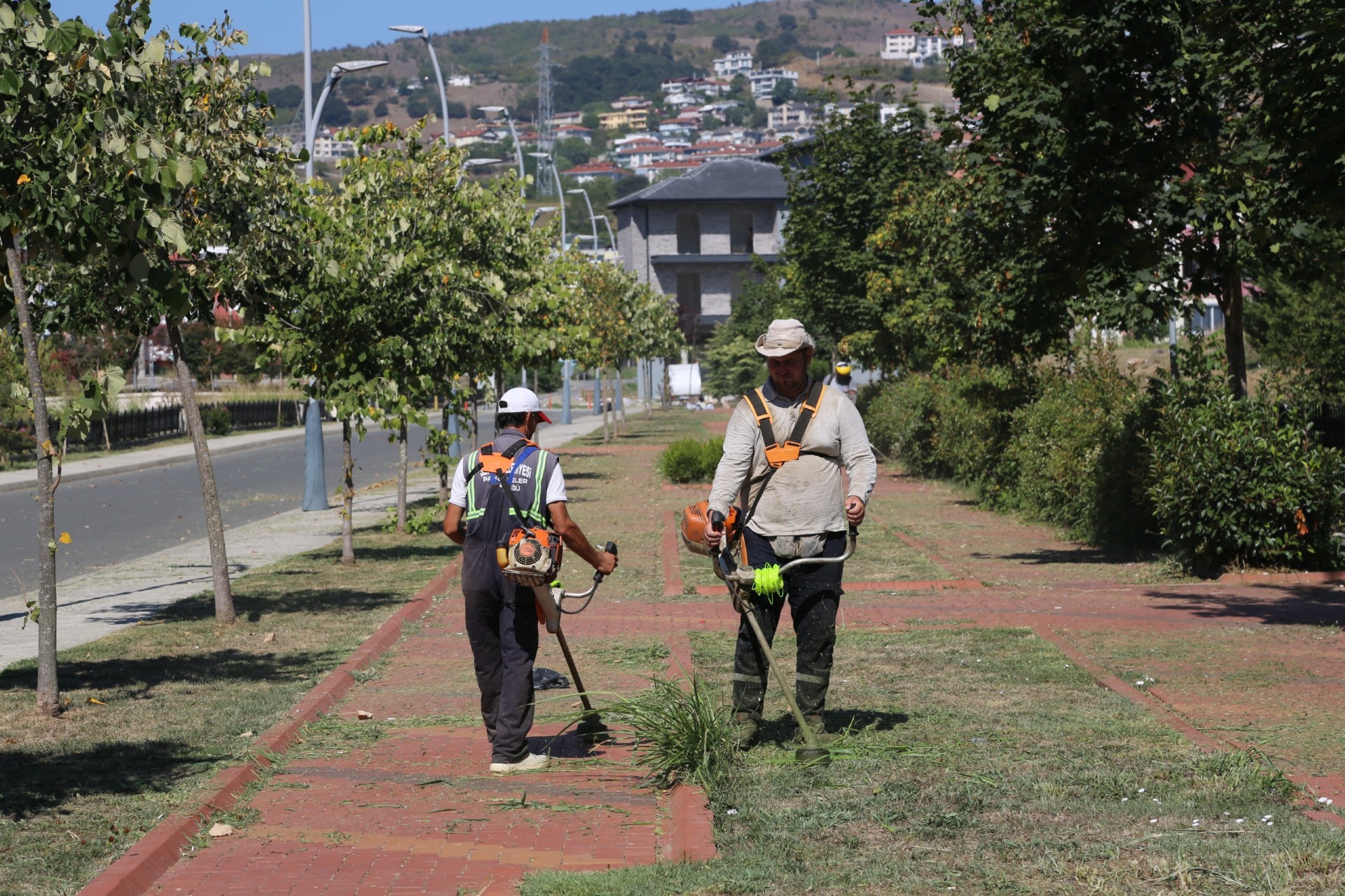 Serdivan'da Yaz Bakımı Devam Ediyor 3