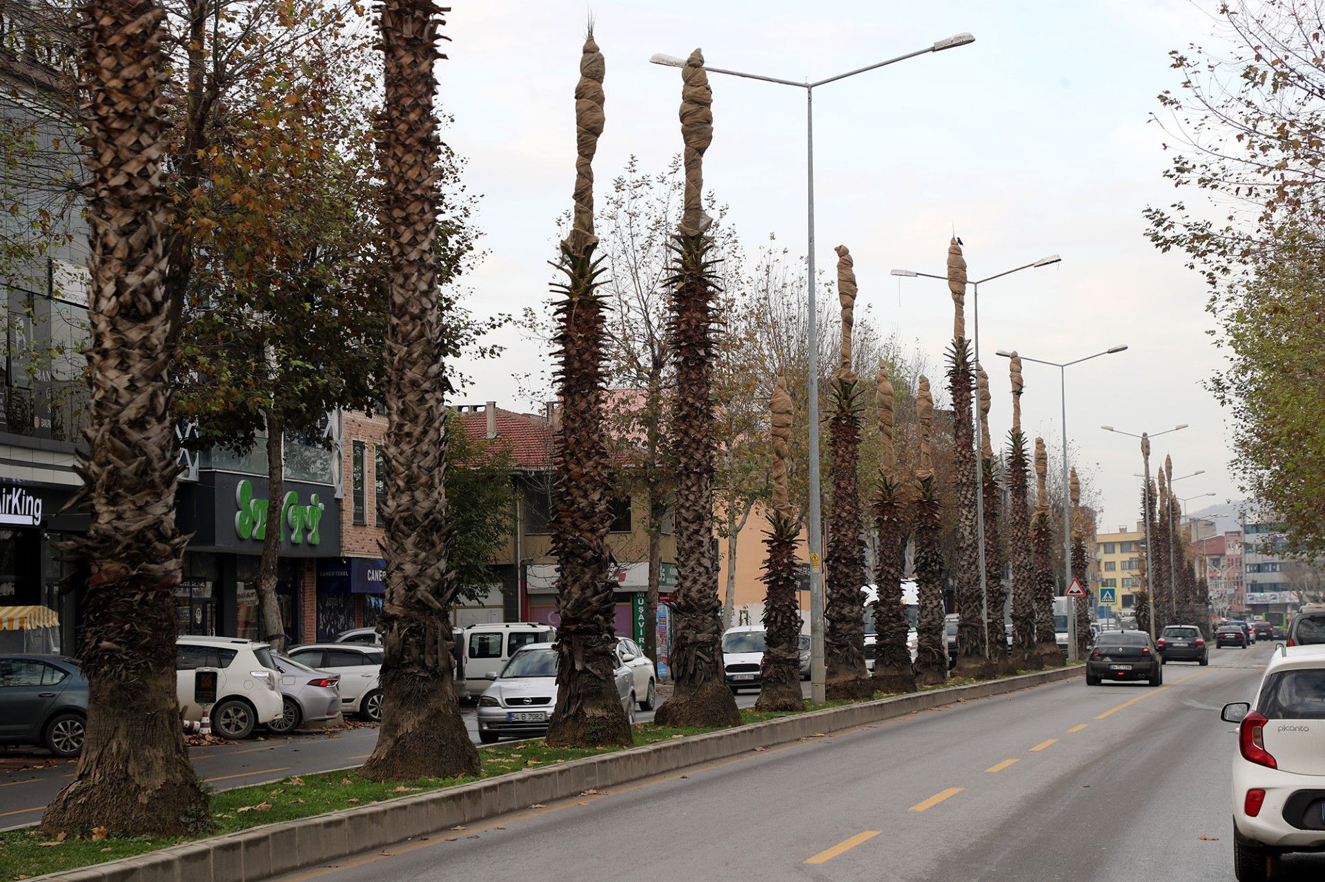 3 Boyutlu Tomografi Cihazı Olası Faciaları Da Önleyecek3