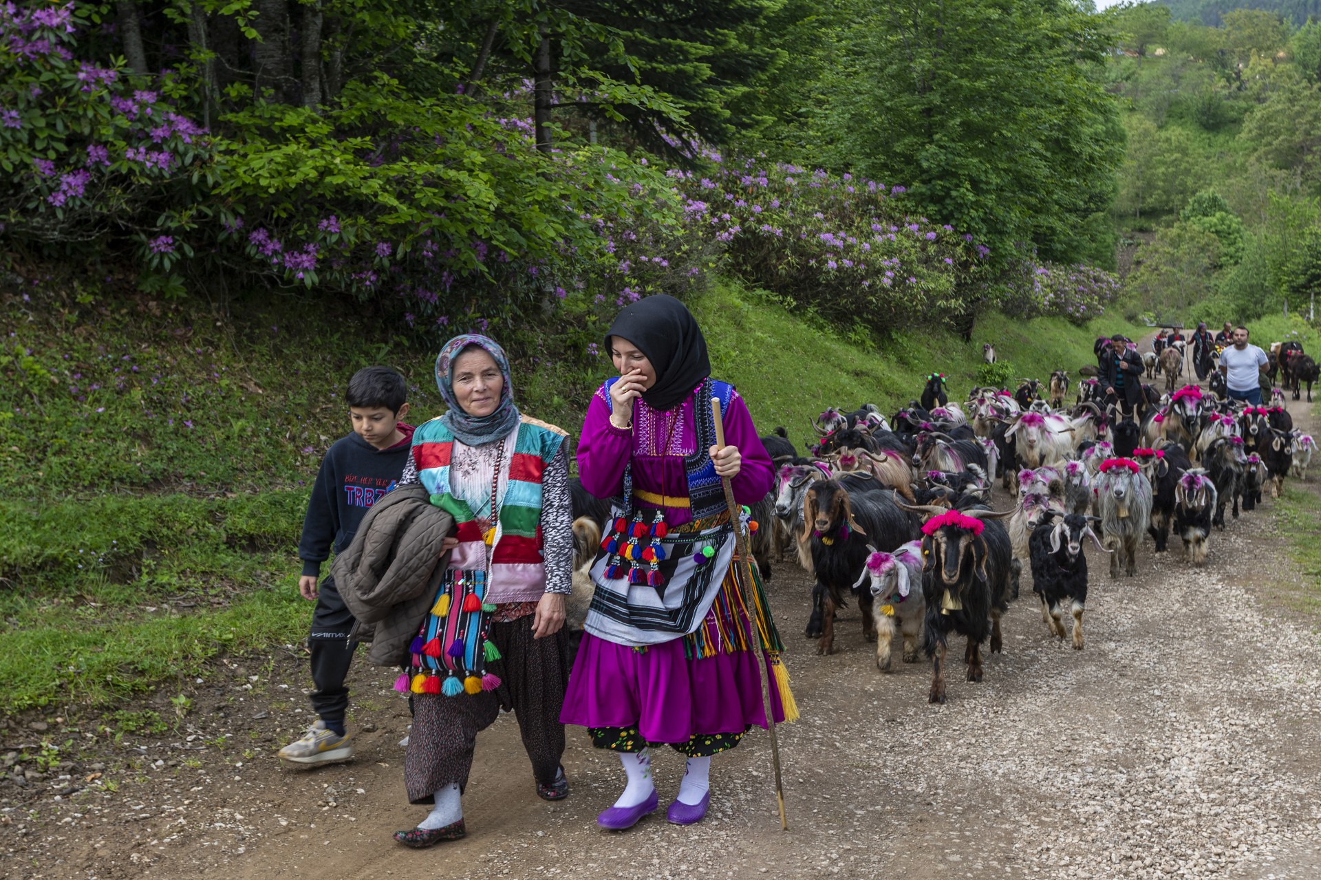 Thumbnail 3.Lik Ödülü Cigdem Sorgut Yayla Yolculugu