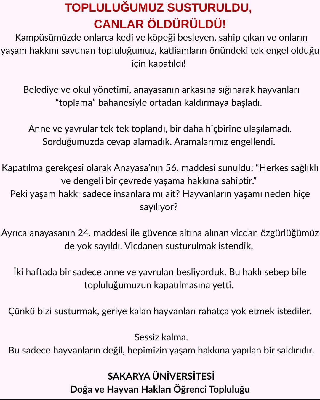 Whatsapp Image 2025 05 23 At 18.03.24