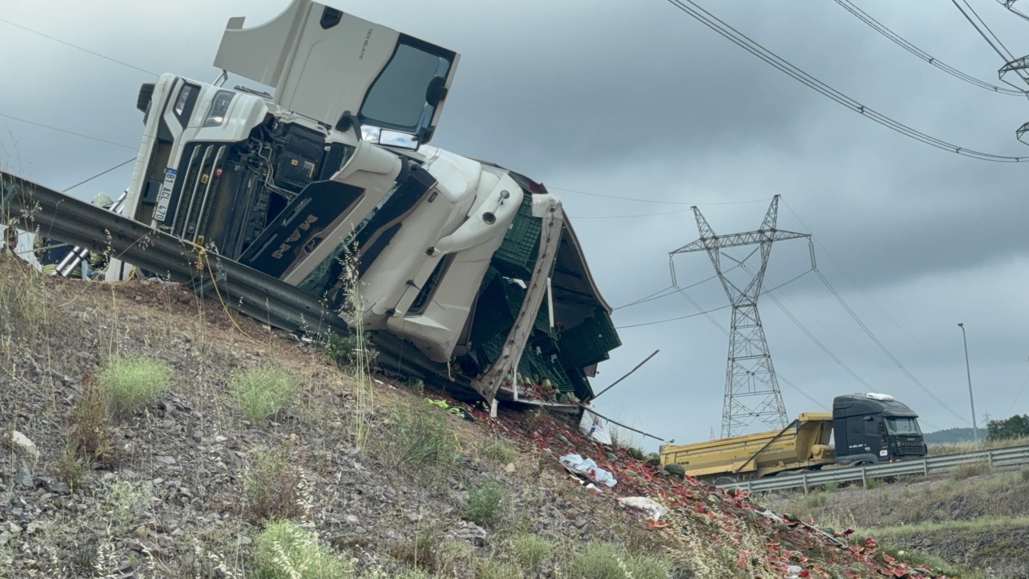 A W473479 02
