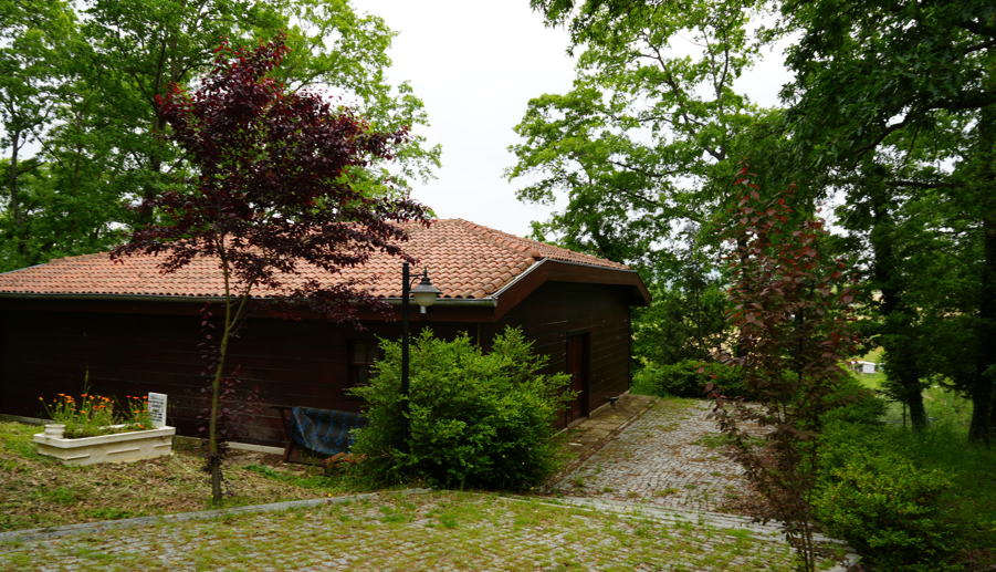 Ekran Görüntüsü 2025 06 15 112108