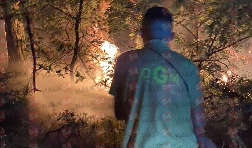 346436-3