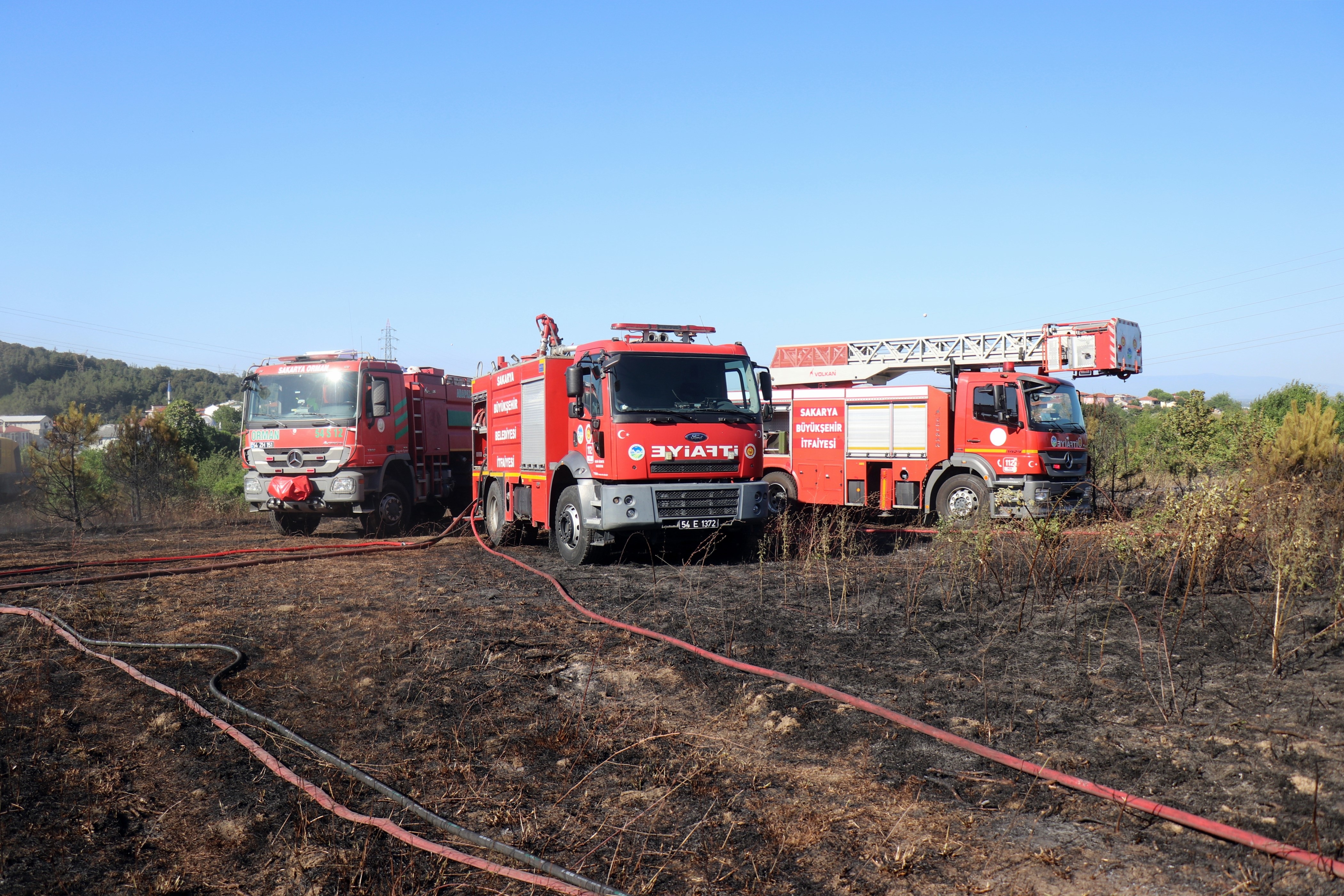 A W515461 14