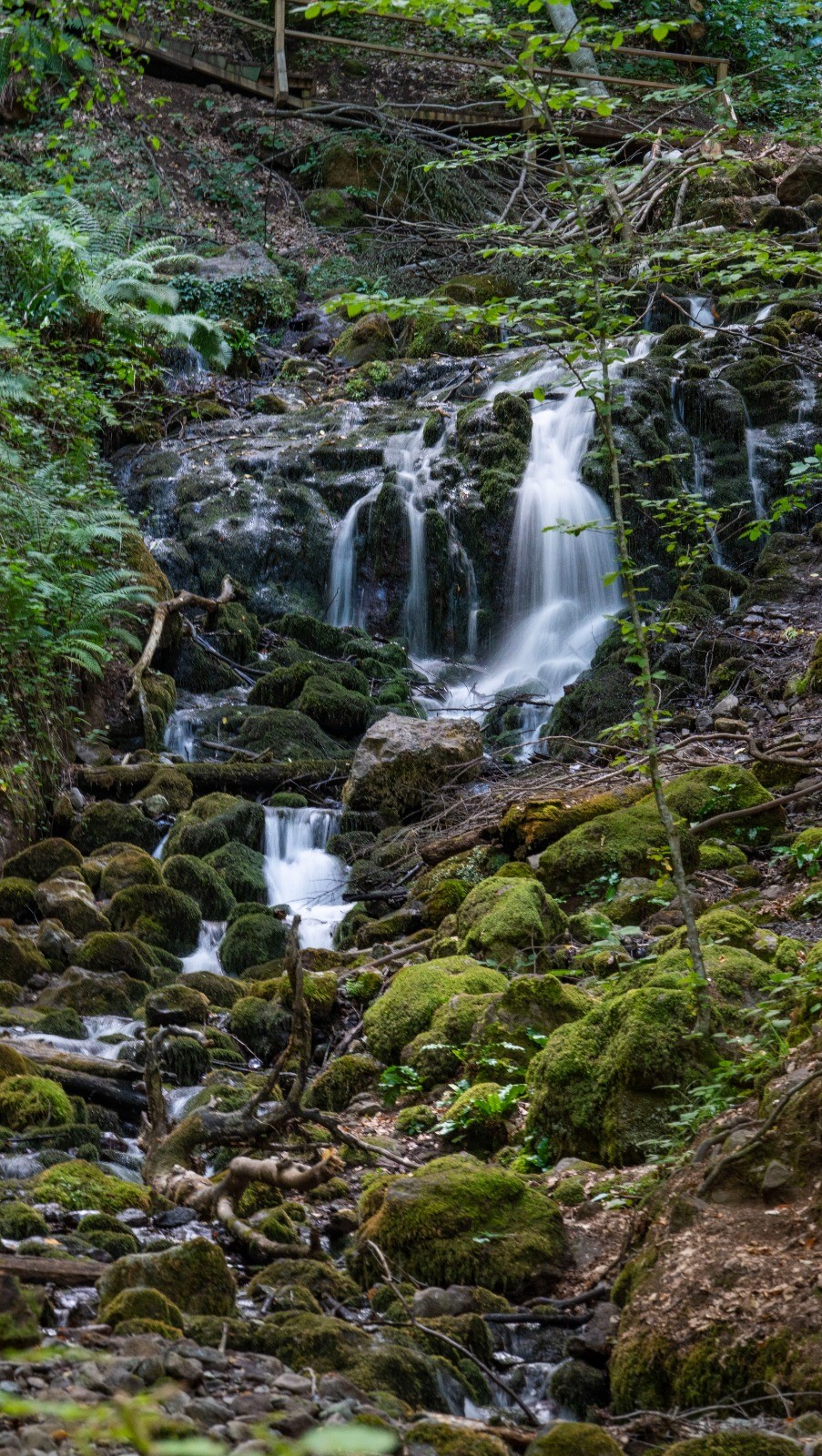 A W538941 09