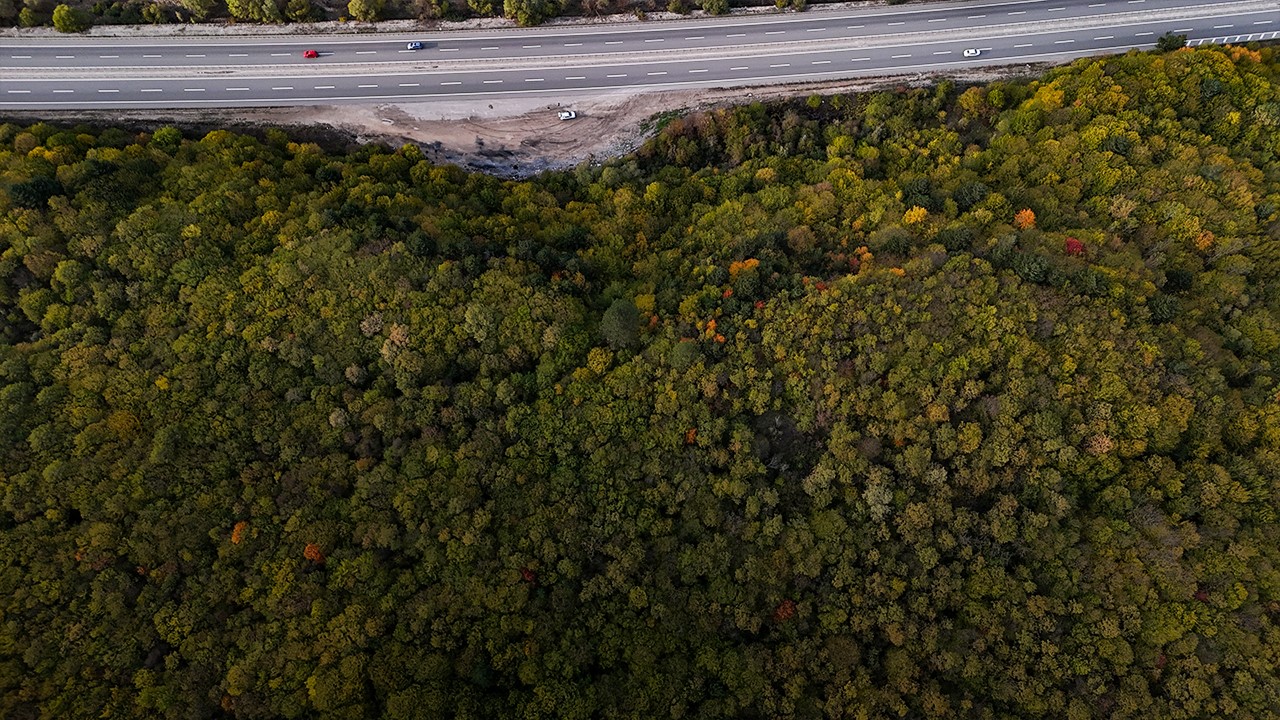 A W559057 05