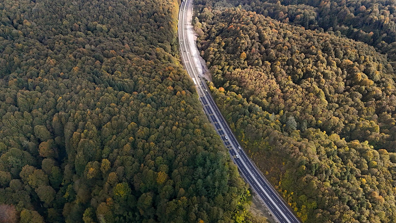 A W559057 08
