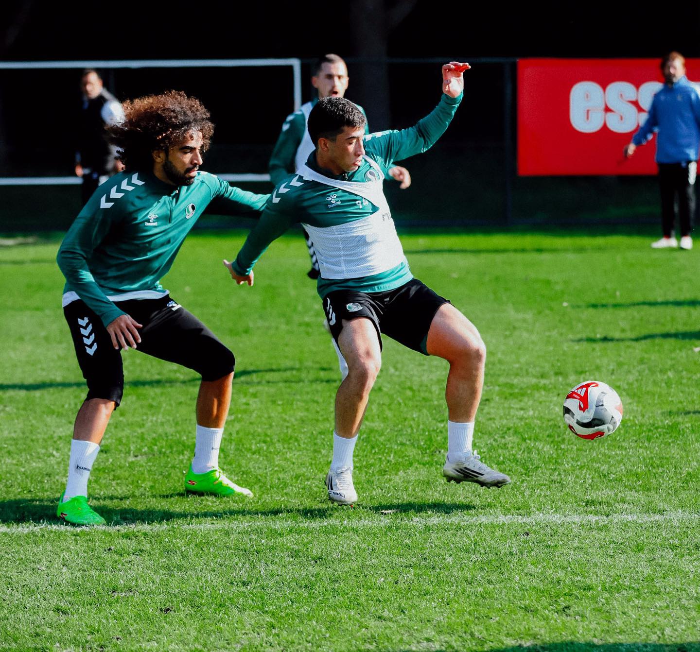 589445995 1252022323621840 7293514746489131453 N