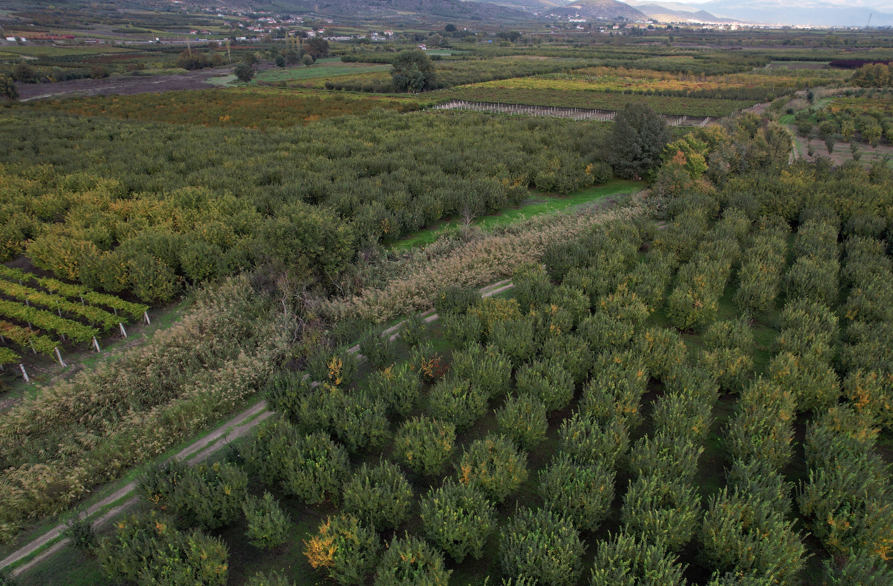 Ekran Görüntüsü 2025 11 02 121927