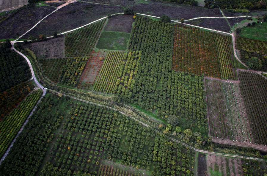 Ekran Görüntüsü 2025 11 02 121932