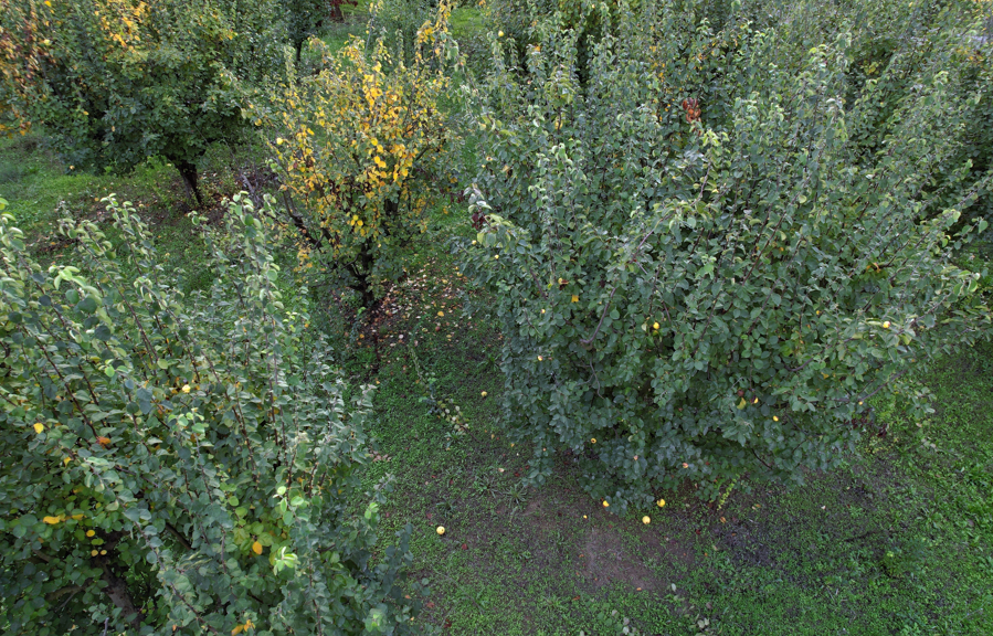 Ekran Görüntüsü 2025 11 02 121936