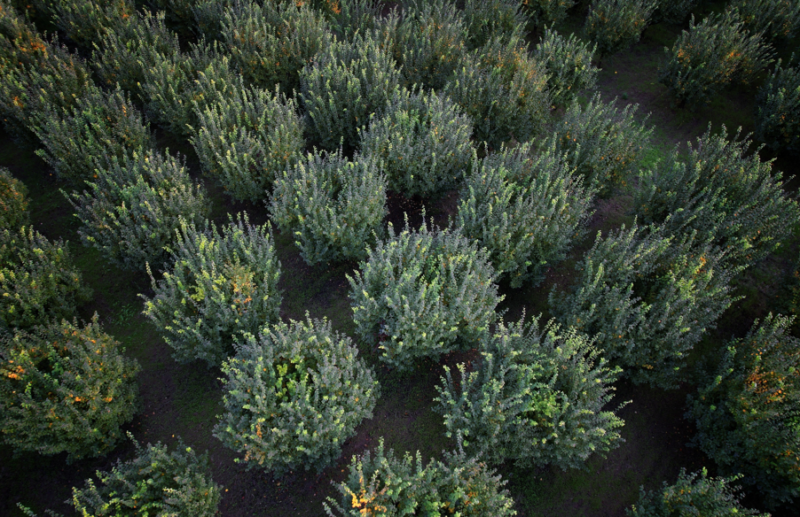 Ekran Görüntüsü 2025 11 02 121940