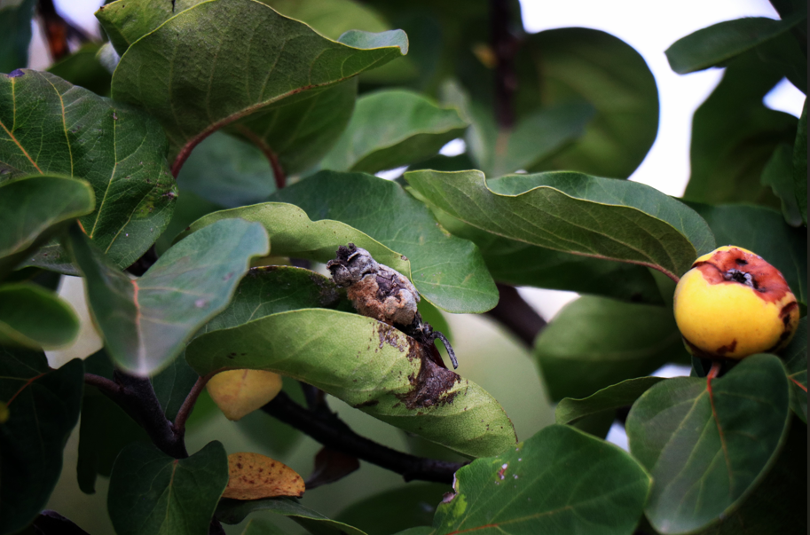 Ekran Görüntüsü 2025 11 02 121949