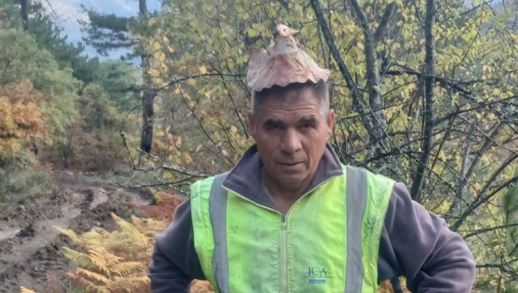 Ekran Görüntüsü 2025 11 08 133342