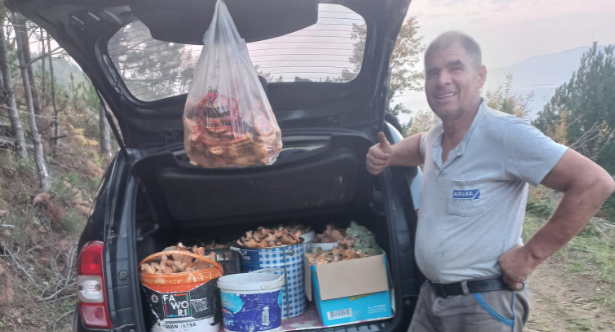 Ekran Görüntüsü 2025 11 08 133353