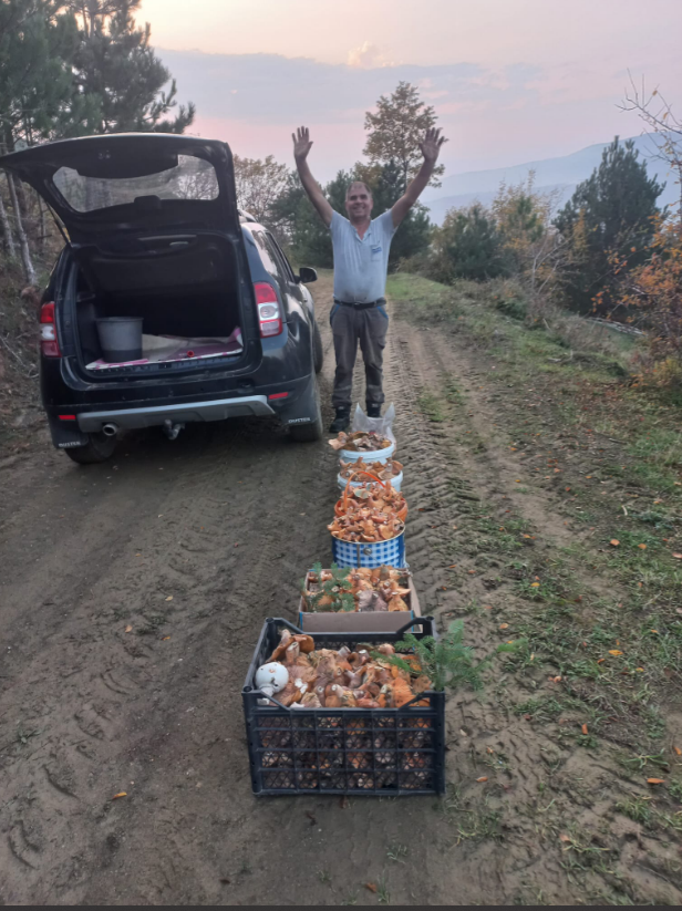 Ekran Görüntüsü 2025 11 08 133432