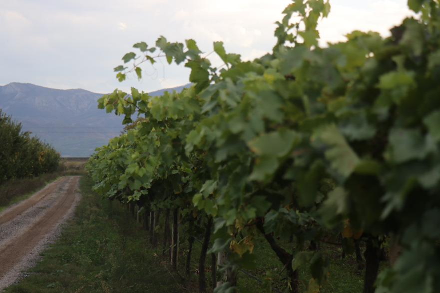 Ekran Görüntüsü 2025 11 16 125332