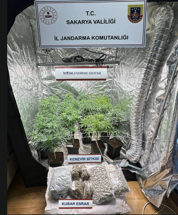 Ekran Görüntüsü 2025 11 22 142810