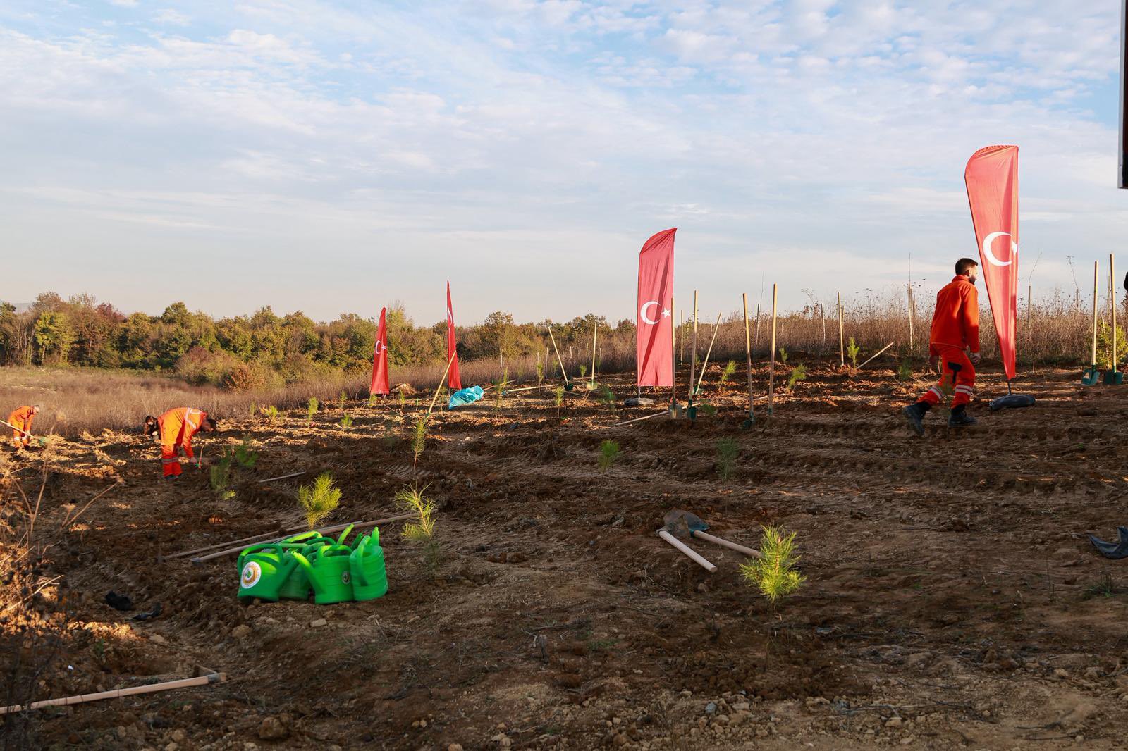 G5 Z4O3 M W0 A A8A5R