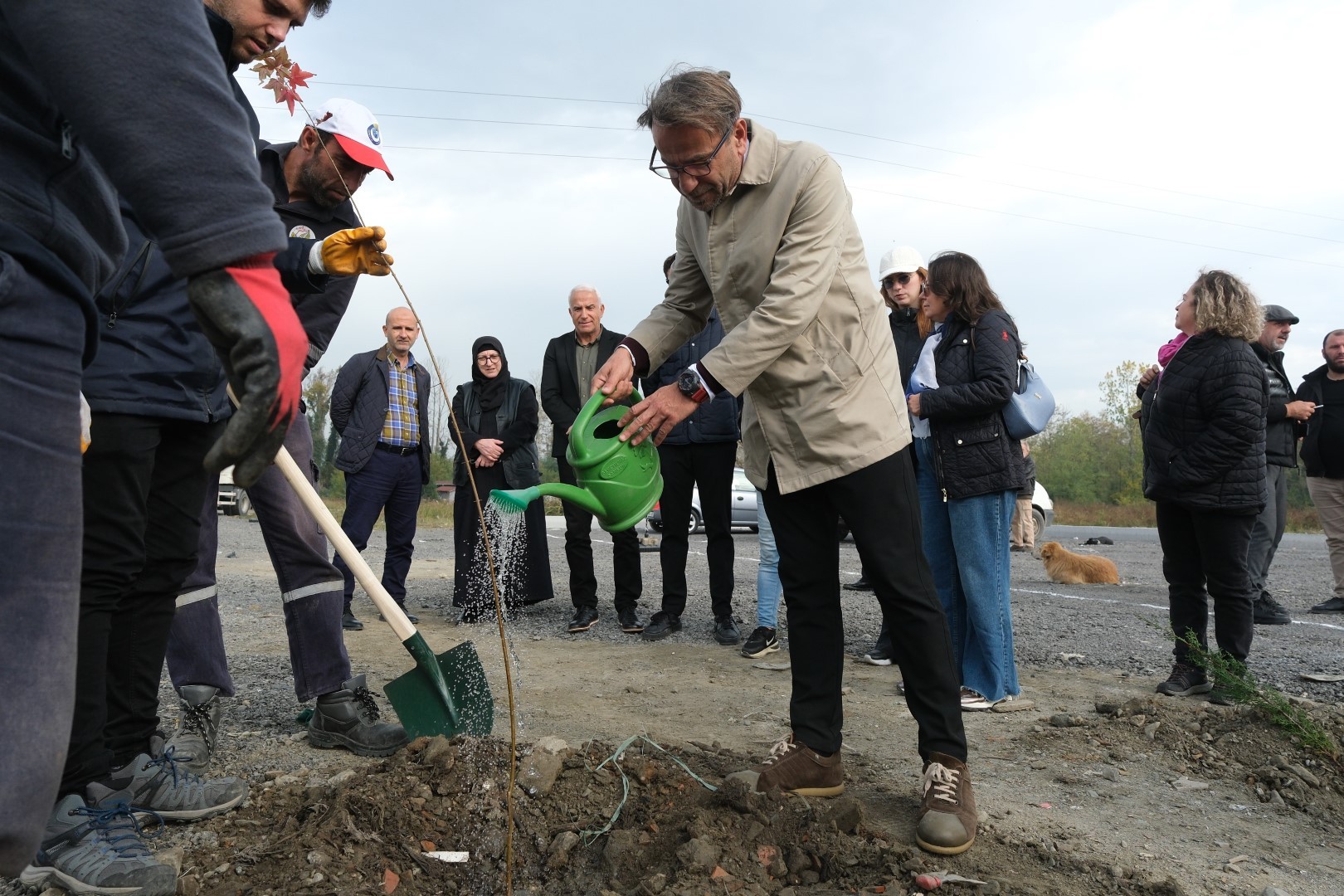 Thumbnail D S C F3201