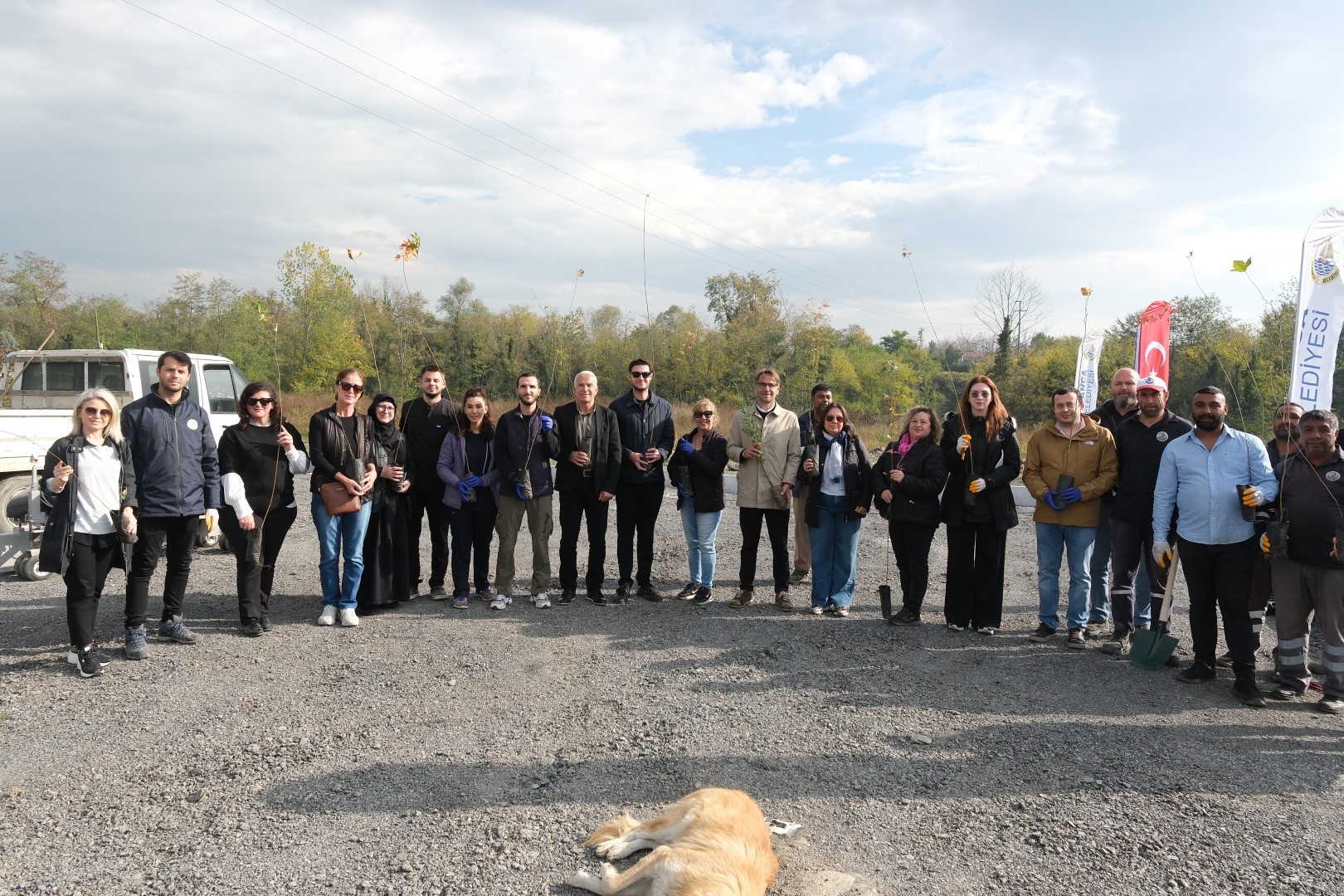 Thumbnail D S C F3213