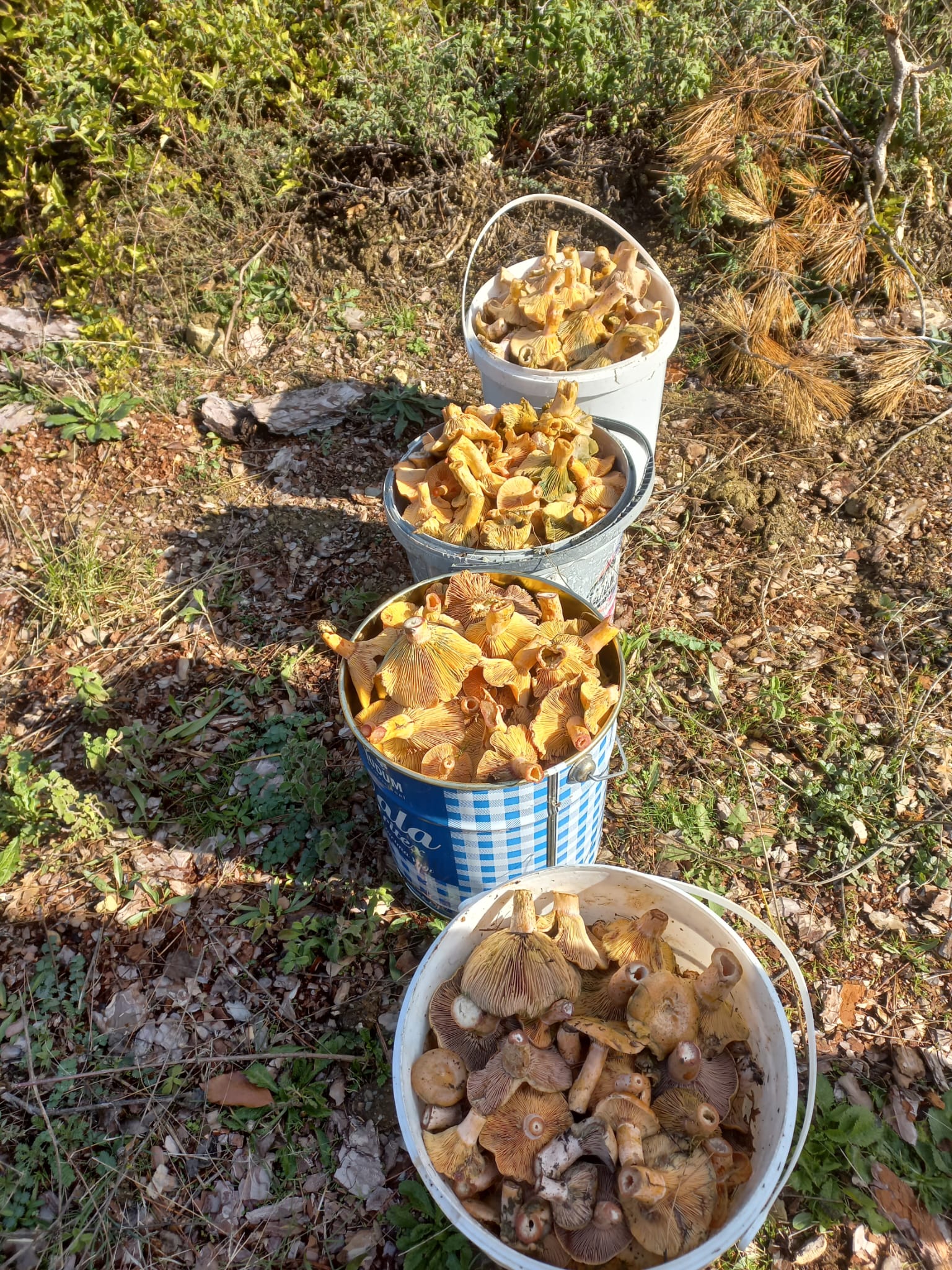 Whatsapp Görsel 2025 11 08 Saat 13.33.18 Dde84F18