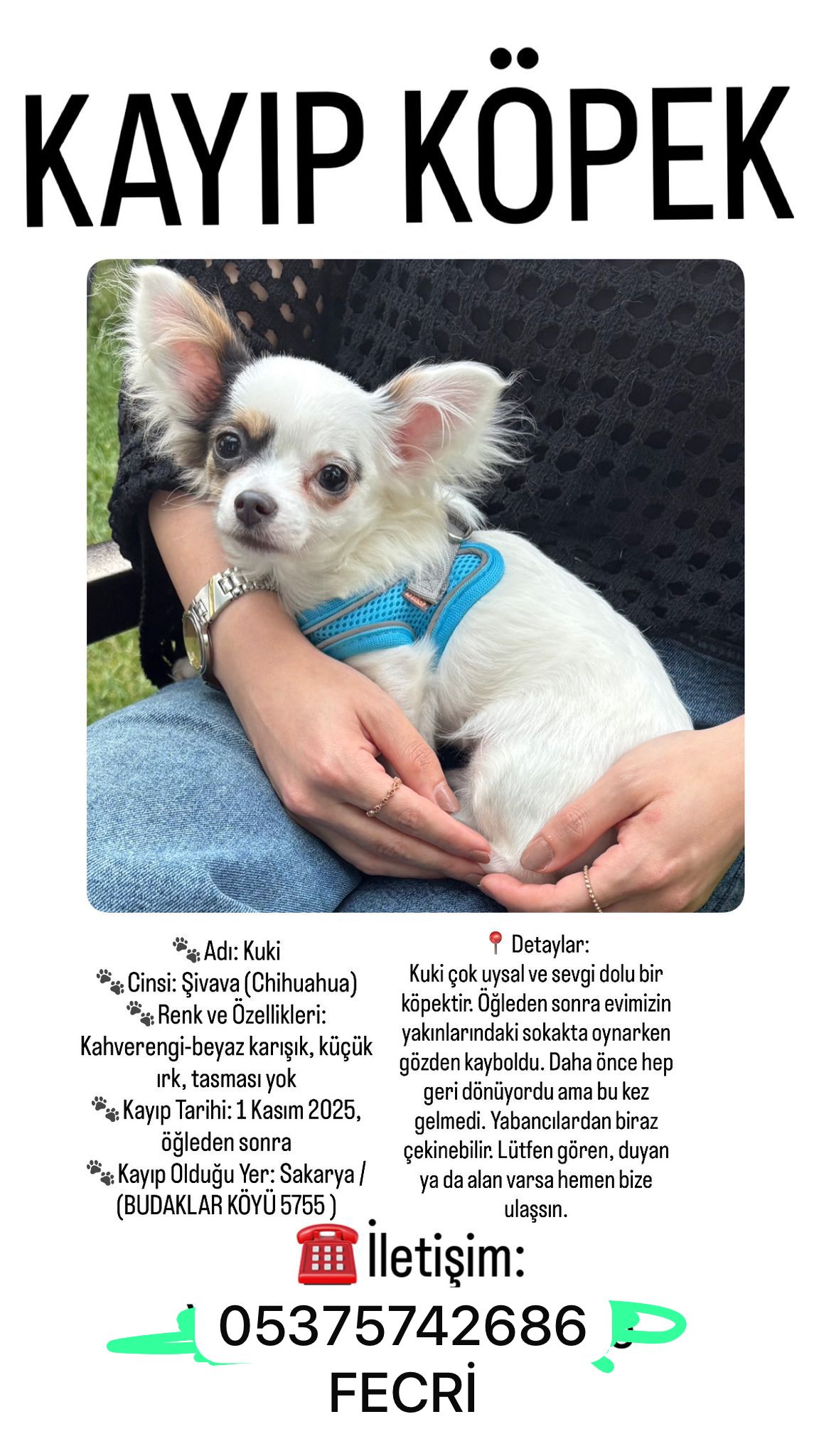 Whatsapp Image 2025 11 03 At 13.13.38