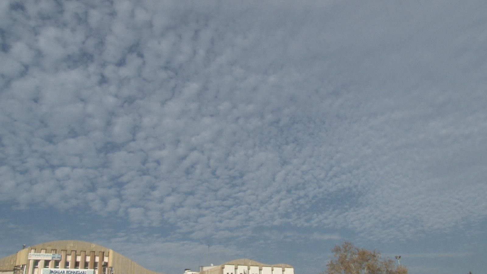 Whatsapp Image 2025 11 21 At 10.36.19