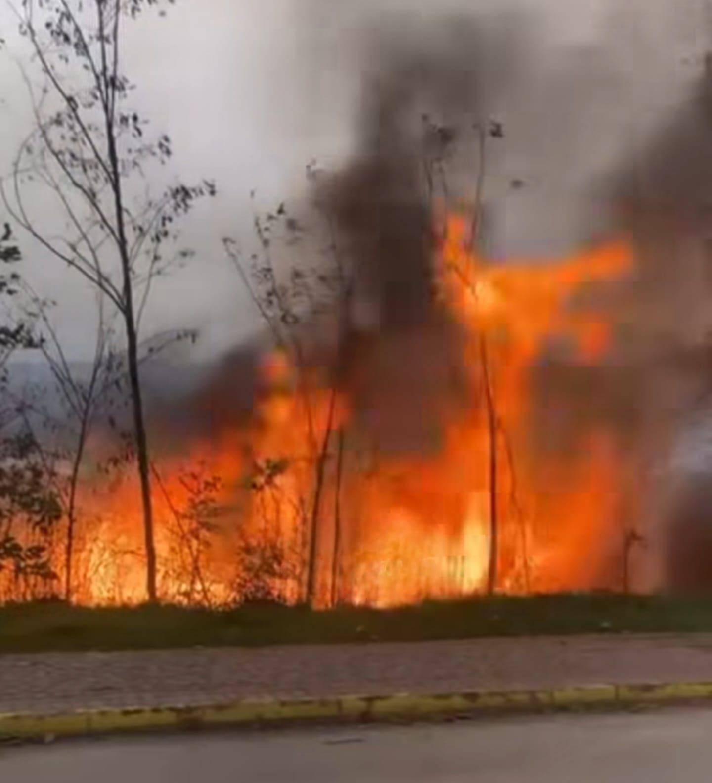 Whatsapp Image 2025 11 23 At 21.44.19